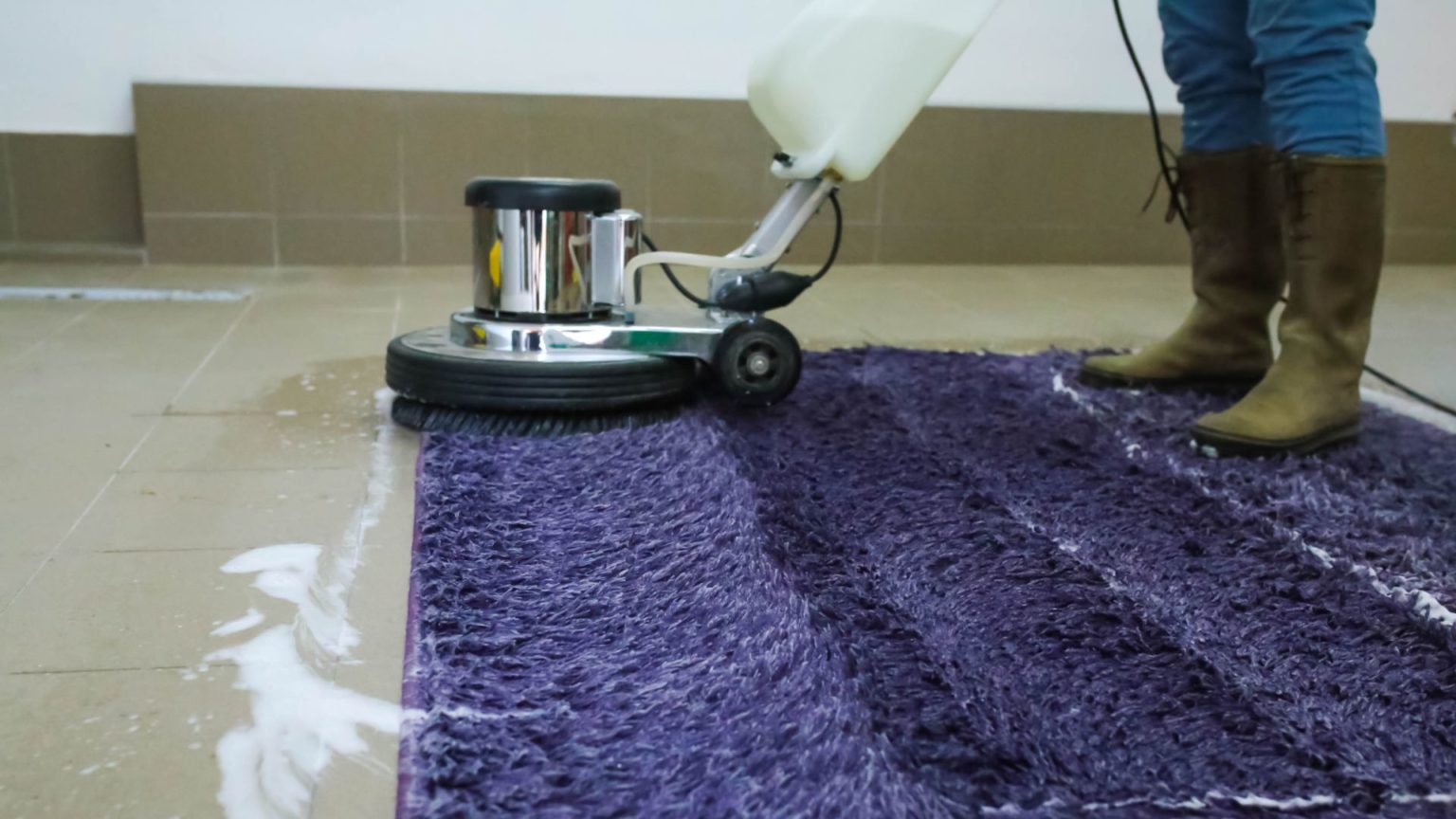 Cleanquo Carpet Cleaning Near Me The Best Rug & Carpet Cleaning Services Near Me