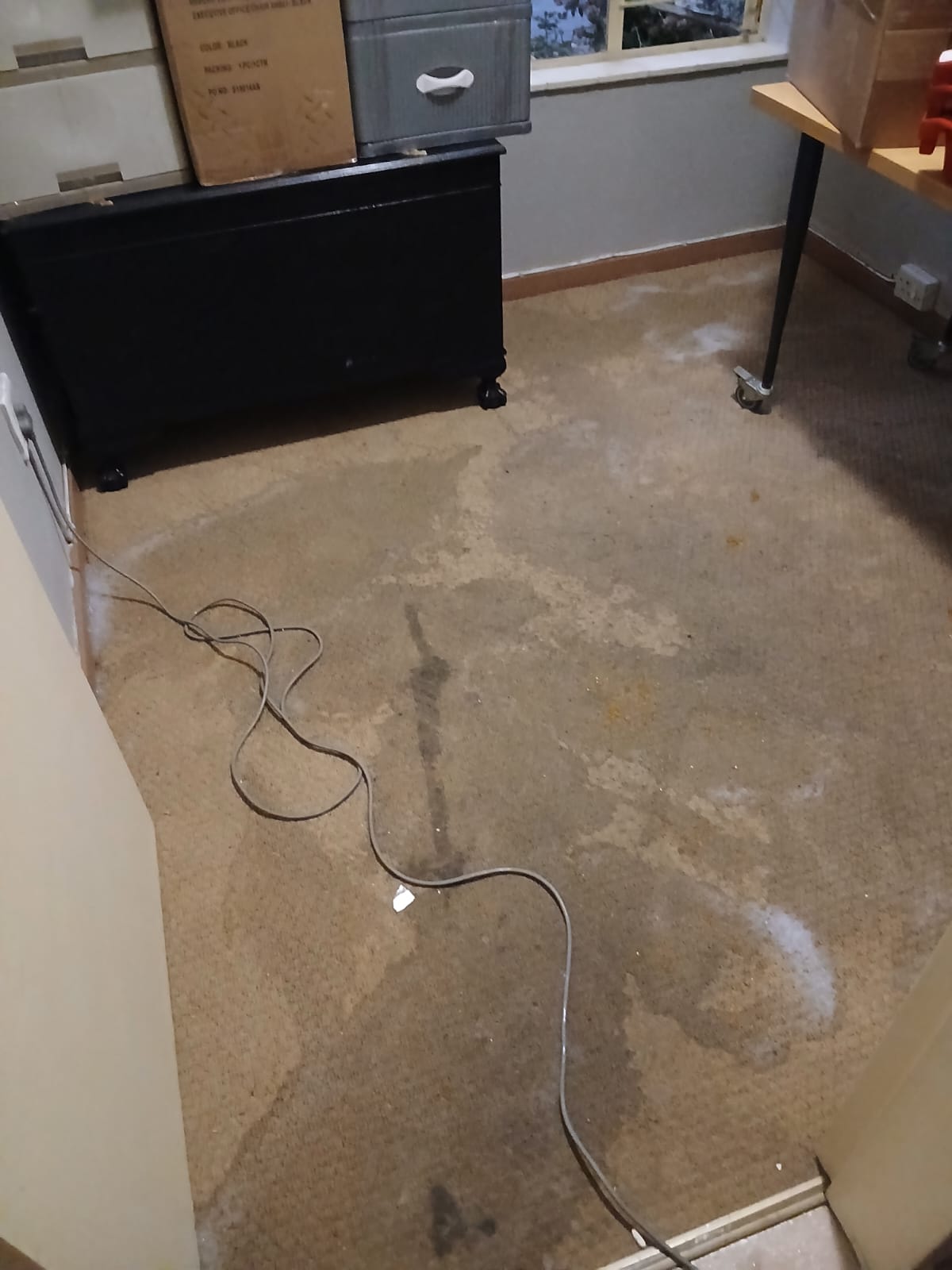 Carpet deep cleaning project before treatment