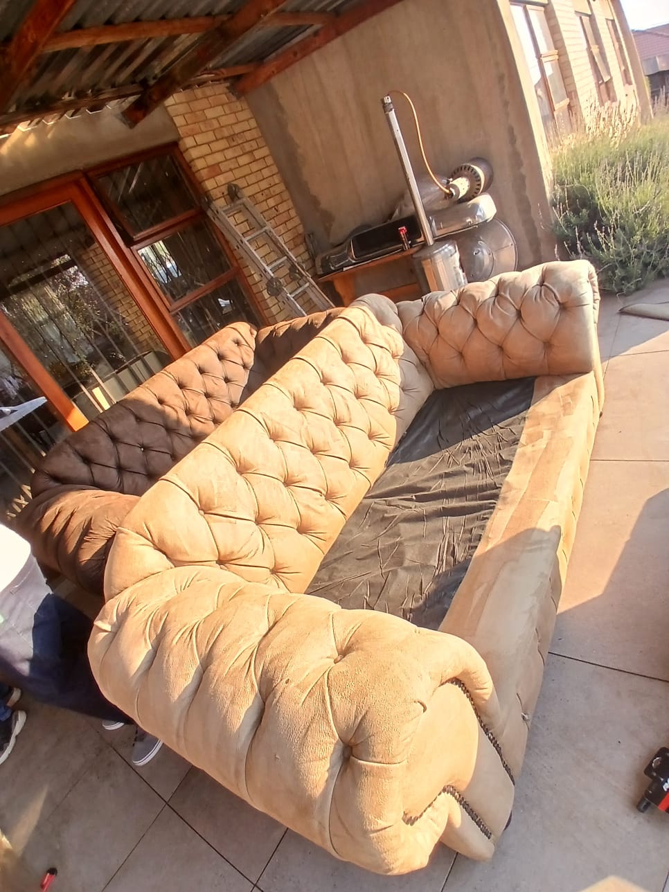 Couch cleaning project after treatment
