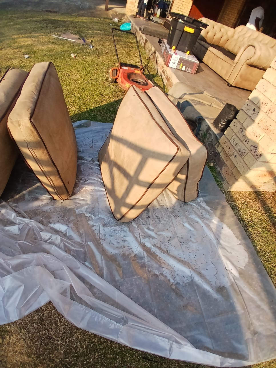 Couch cushions after thorough upholstery cleaning