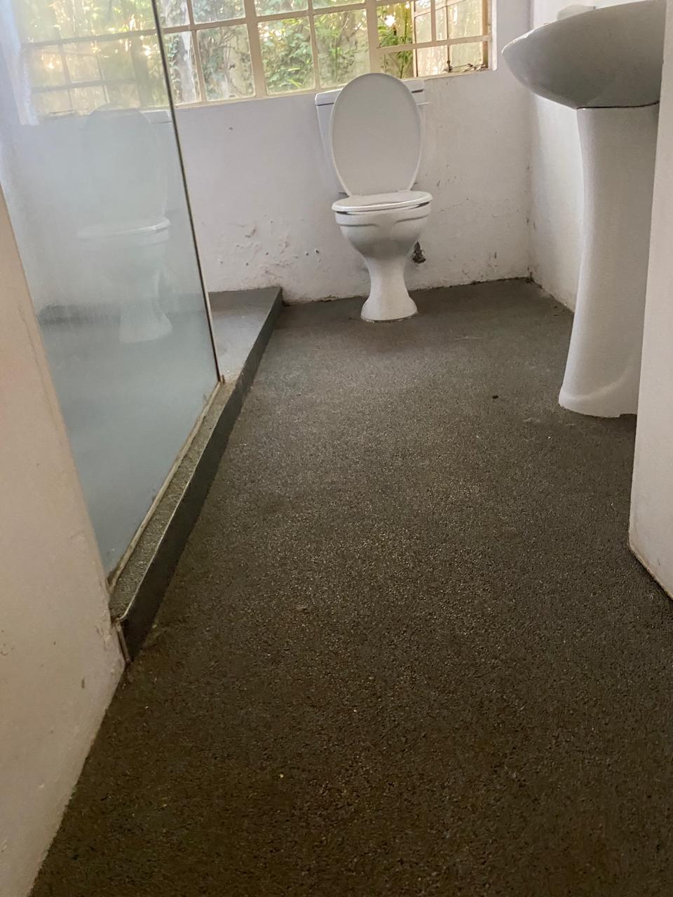 Bathroom toilet and shower area showing deep cleaning detail work